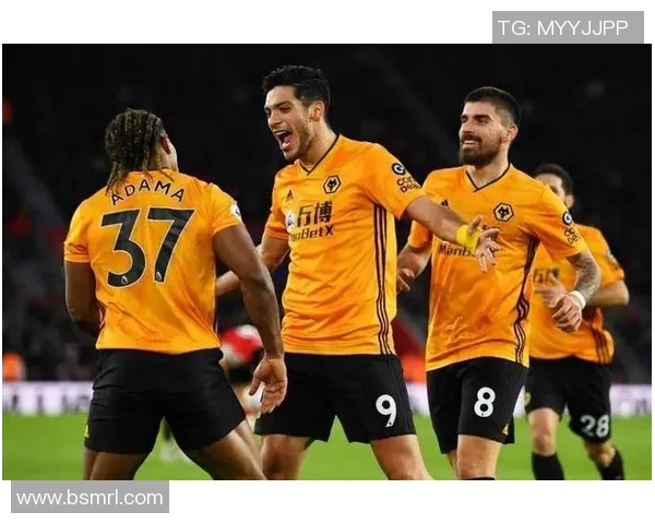 南安普顿主场迎战狼队期待精彩对决双方争夺英超宝贵积分